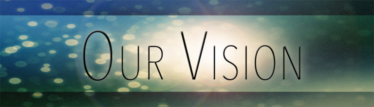 vision-768x220